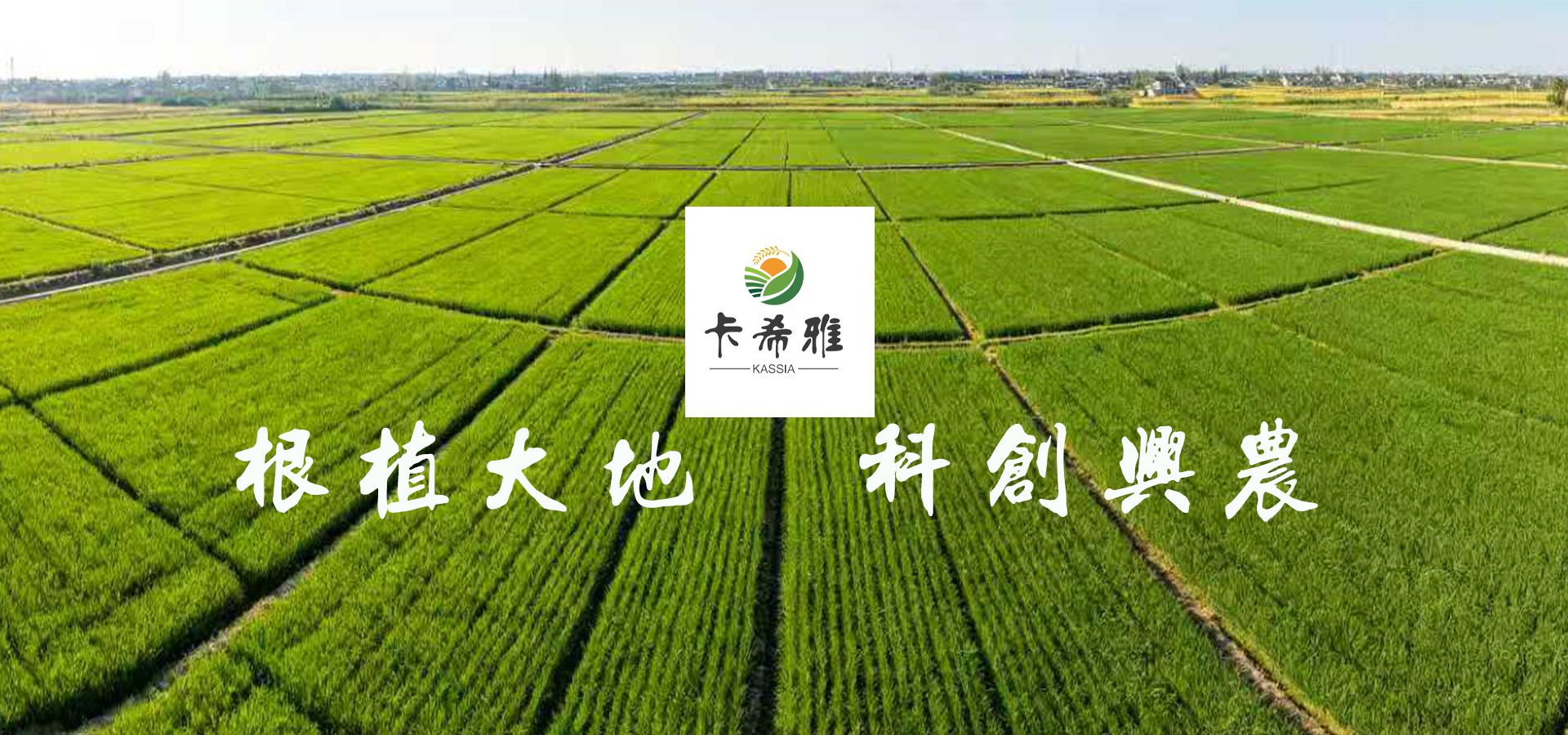 广告标题
