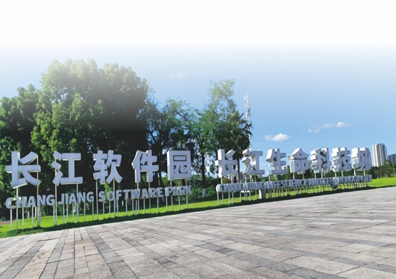 企业文化