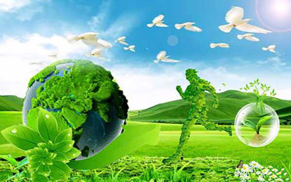 一臺質量好的金屬污泥烘干機具有哪些特點 一臺質量好的金屬污泥烘干機具有哪些特點